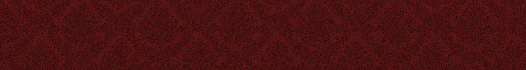 Header Promo Maniatogel