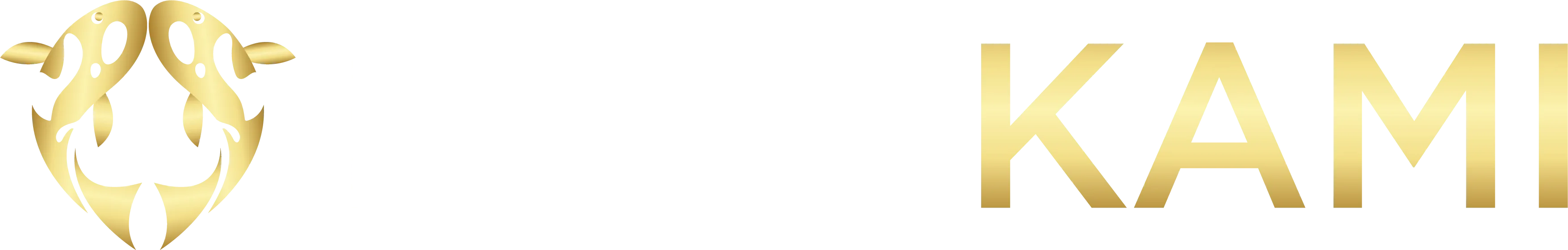 PLAYKAMI